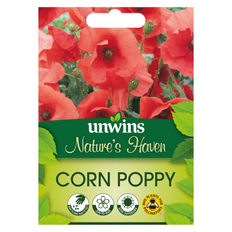 5051618031776 1 Wildflower Corn Poppy Seeds.jpg